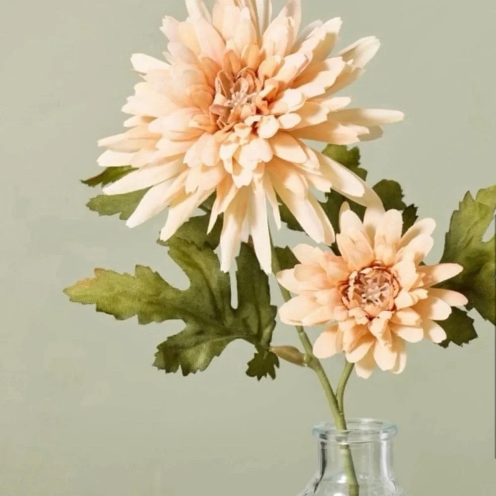 11” Faux Mini Orange Daisy Flower Arrangement - Hearth & Hand with Magnolia